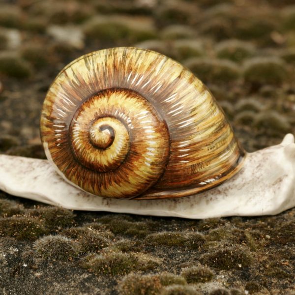 Escargot