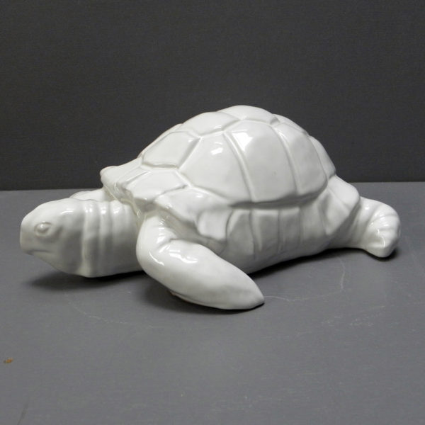 Tortue blanche