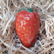 fraise malicorne