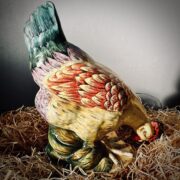 Poule polychrome