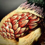 Poule polychrome