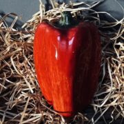 Poivron rouge
