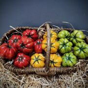 Assortiment de tomates
