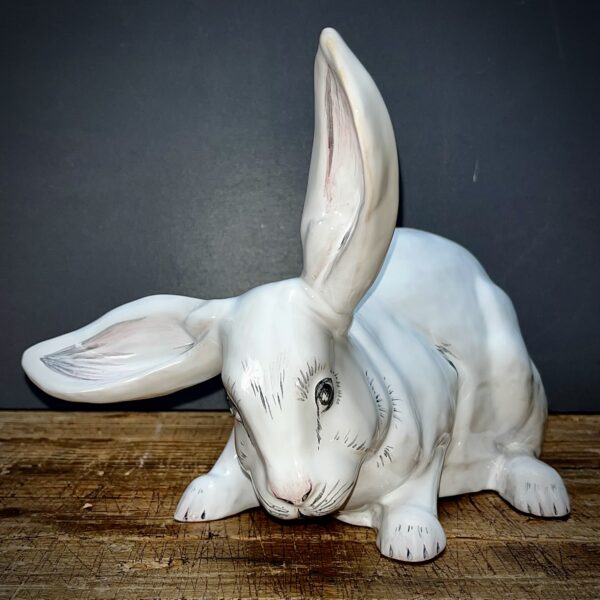 Lapin blanc grandes oreilles