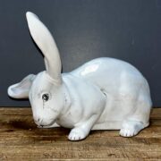 Lapin blanc grandes oreilles