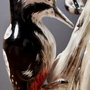 Couple de pics épeiches