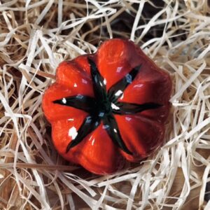 Tomate rouge