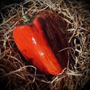 Poivron rouge