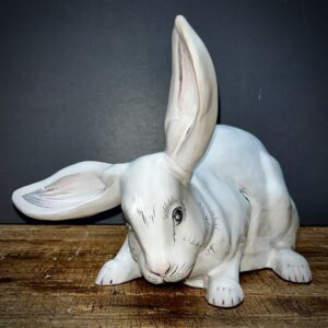 Lapin blanc grandes oreilles