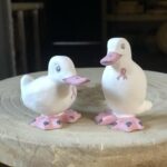 Canards Tessier, édition octobre rose