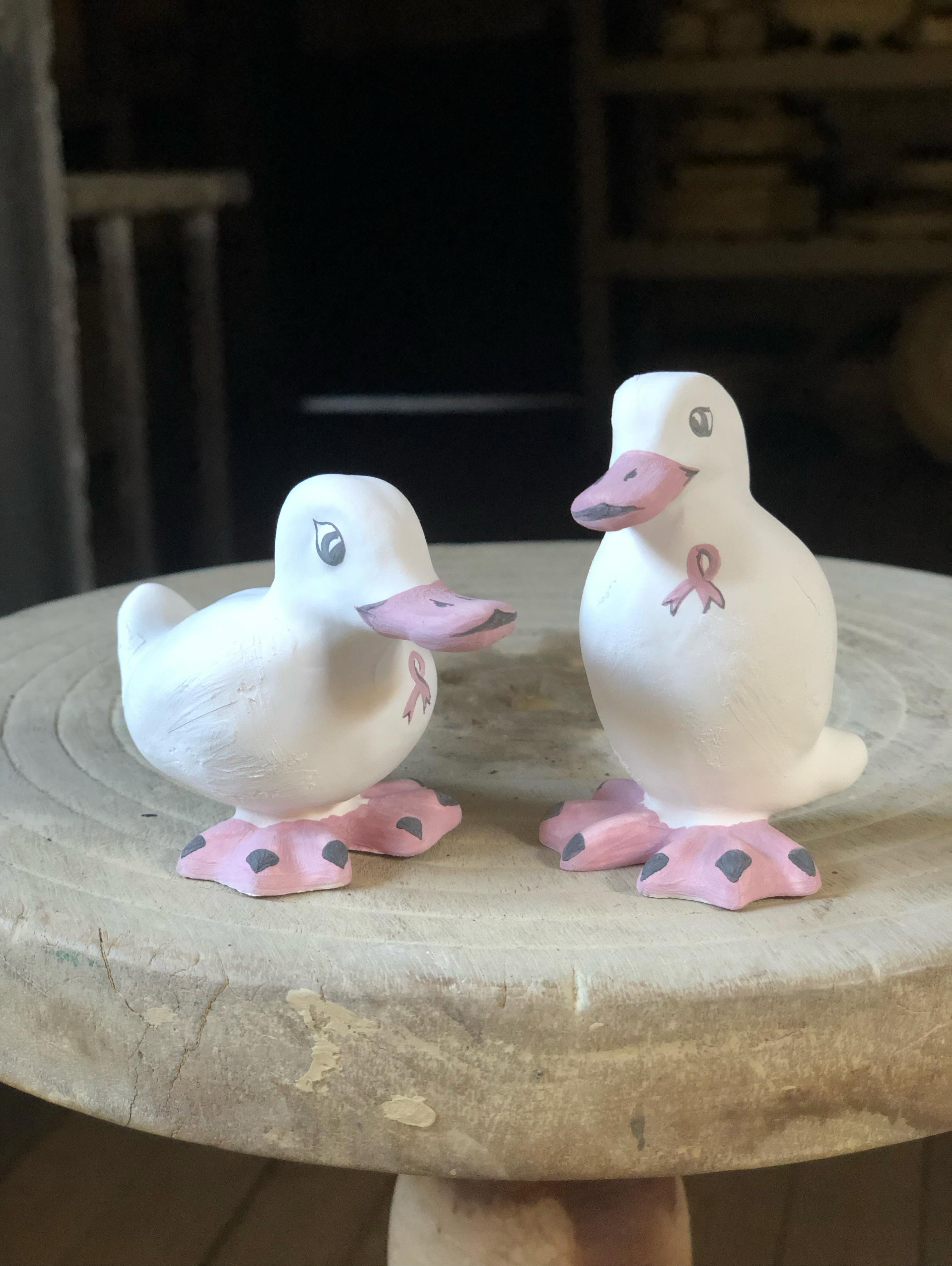 Canards Tessier, édition octobre rose